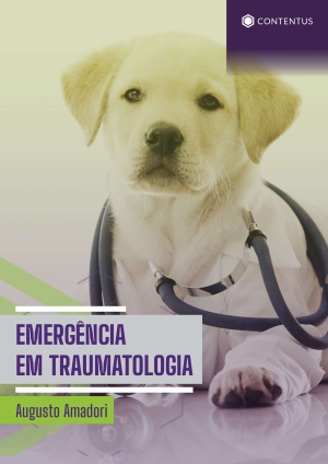 EMERGÊNCIA EM TRAUMATOLOGIA