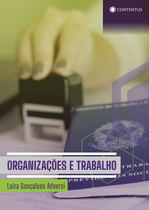 ORGANIZAÇÕES E TRABALHO