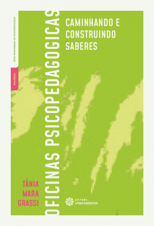 Oficinas psicopedagógicas: caminhando e construindo saberes - E-book