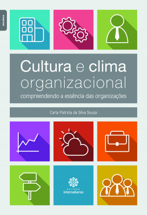 Cultura e clima organizacional compreendendo a essência das organizações