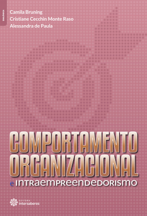 Comportamento organizacional e intraempreendedorismo - E-book