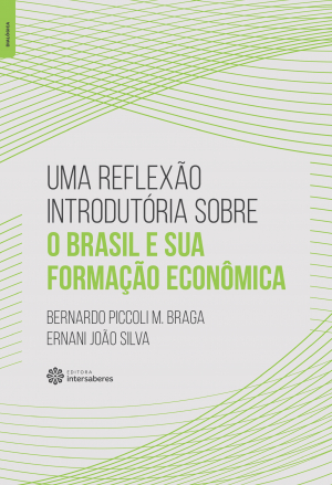 Uma reflexão introdutória sobre o Brasil e sua formação econômica