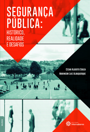 Segurança pública histórico, realidade e desafios