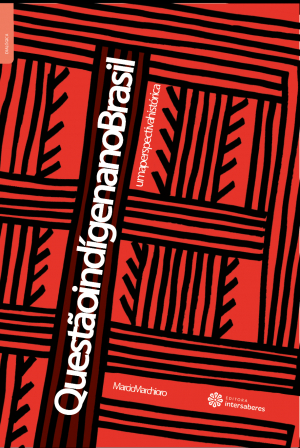 Questão indígena no Brasil uma perspectiva histórica