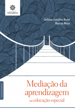 Mediação da aprendizagem na educação especial