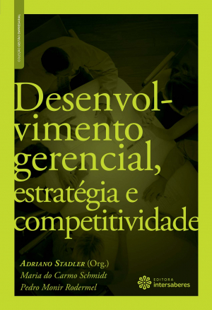 Desenvolvimento gerencial, estratégia e competitividade